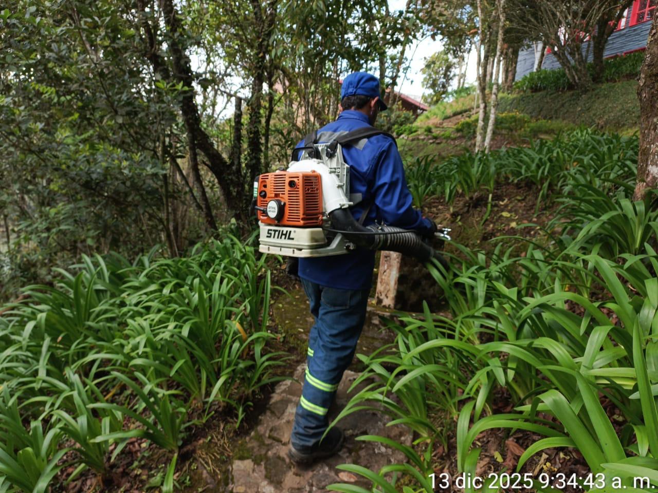 Jardinero Don Aseo con equipo STIHL en zonas verdes