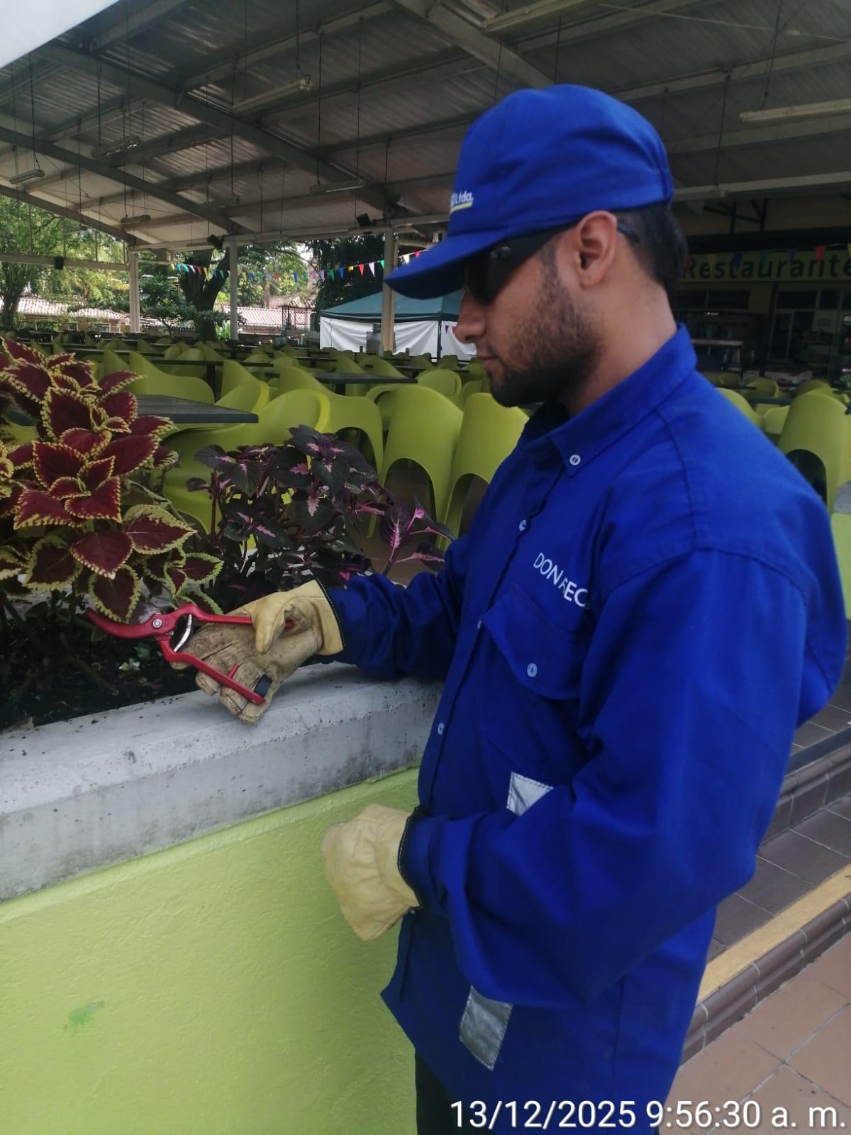 Jardinero Don Aseo en labores de poda y limpieza de jardín